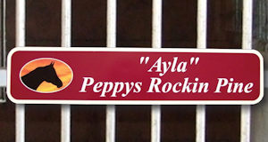 personalized horse stall name plate