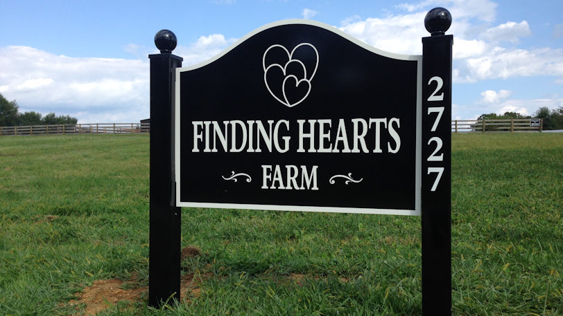 Finding Hearts 812-457